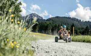 Neu-Actioncard-Hornpark-und-Mountaincart